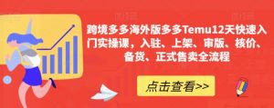 跨境多多海外版多多Temu12天快速入门实操课,入驻、上架、审版、核价、备货、正式售卖全流程-阳知网创资源库