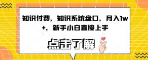 知识付费,知识系统盘口,月入1w+,新手小白直接上手-阳知网创资源库