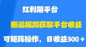 搬运视频获取平台收益，平台红利期，附保姆级教程【揭秘】-阳知网创资源库