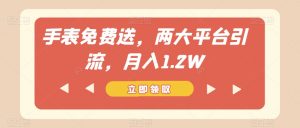 手表免费送，两大平台引流，月入1.2W【揭秘】-阳知网创资源库
