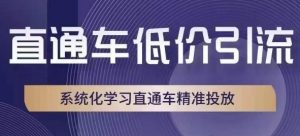 直通车低价引流课，系统化学习直通车精准投放-阳知网创资源库