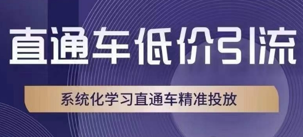 直通车低价引流课,系统化学习直通车精准投放-阳知网创资源库