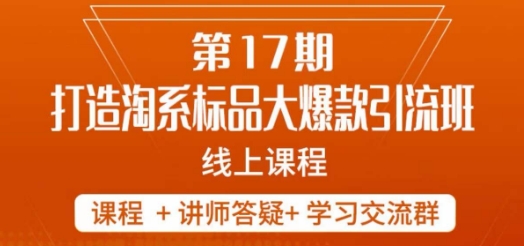 南掌柜-第17期打造淘系标品大爆款,5天线上课-阳知网创资源库