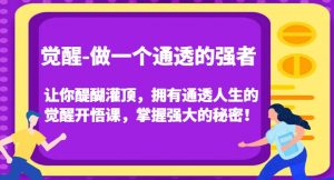 觉醒-做一个通透的强者,让你醍醐灌顶,拥有通透人生的觉醒开悟课,掌握强大的秘密!-阳知网创资源库