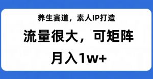 养生赛道,素人IP打造,流量很大,可矩阵,月入1w+【揭秘】-阳知网创资源库
