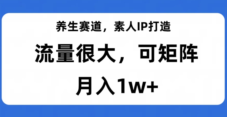 养生赛道,素人IP打造,流量很大,可矩阵,月入1w+【揭秘】-阳知网创资源库