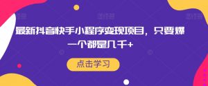 最新抖音快手小程序变现项目,只要爆一个都是几千+-阳知网创资源库