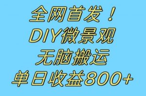 全网首发冷门赛道!DIY微景观,无脑搬运视频,日收益800+【揭秘】-阳知网创资源库