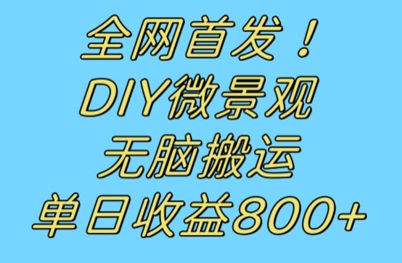 全网首发冷门赛道!DIY微景观,无脑搬运视频,日收益800+【揭秘】-阳知网创资源库