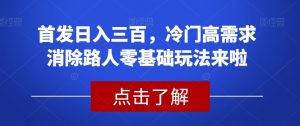 首发日入三百，冷门高需求消除路人零基础玩法来啦【揭秘】-阳知网创资源库
