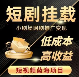 2023短视频蓝海项目,抖音快手短剧推广变现教程,低成本高收益-阳知网创资源库
