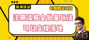 注册流掘金批量玩法,可以实操落地【揭秘】-阳知网创资源库