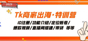 Tk商家出海·特训营:ID注册/功能介绍/定位账号/爆款视频/直播间搭建/带货-阳知网创资源库