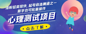 心理测试项目，涨粉猛变现快，起号必选赛道之一，新手也可批量操作【揭秘】-阳知网创资源库