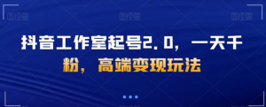 抖音工作室起号2.0，一天千粉，高端变现玩法【揭秘】-阳知网创资源库