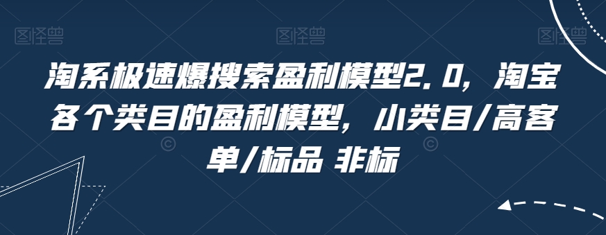 淘系极速爆搜索盈利模型2.0,淘宝各个类目的盈利模型,小类目/高客单/标品 非标-阳知网创资源库