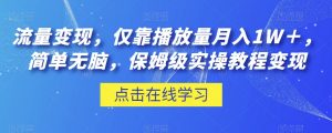 流量变现，仅靠播放量月入1W＋，简单无脑，保姆级实操教程【揭秘】-阳知网创资源库