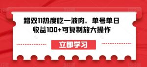 蹭双11热度吃一波肉，单号单日收益100+可复制放大操作【揭秘】-阳知网创资源库