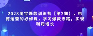 2023淘宝爆款训练营【第2期】,电商运营的必修课,学习爆款思路,实现利润增长-阳知网创资源库
