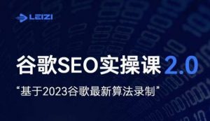 雷子·谷歌SEO 2.0实战课,独立站询盘自由必备,基于2023谷歌最新算法录制-阳知网创资源库