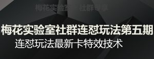 梅花实验室社群连怼玩法第五期,视频号连怼玩法最新卡特效技术-阳知网创资源库