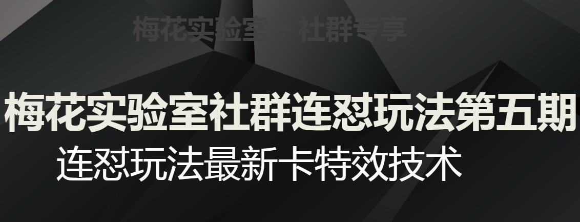 梅花实验室社群连怼玩法第五期，视频号连怼玩法最新卡特效技术-阳知网创资源库