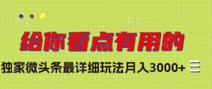 独家微头条最详细玩法,月入3000+【揭秘】-阳知网创资源库
