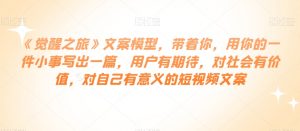 《觉醒之旅》文案模型，带着你，用你的一件小事写出一篇，用户有期待，对社会有价值，对自己有意义的短视频文案-阳知网创资源库
