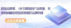超级品牌课,3步引爆你的产品销量,实现利润翻倍教你落地做好品牌的课-阳知网创资源库