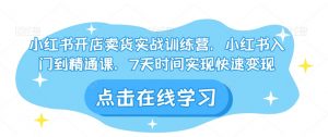 小红书开店卖货实战训练营,小红书入门到精通课,7天时间实现快速变现-阳知网创资源库
