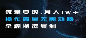 流量变现，月入1W+操作简单无需动脑全程搬运复制【揭秘】-阳知网创资源库