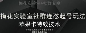 梅花实验室社群视频号连怼起号玩法,最新苹果卡特效技术-阳知网创资源库