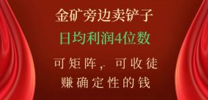 金矿旁边卖铲子,赚确定性的钱,可矩阵,可收徒,日均利润4位数【揭秘】-阳知网创资源库