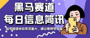 黑马赛道每日信息简讯，起号超级快自带流量大，通过视频号收益【揭秘】-阳知网创资源库