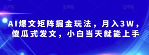 AI爆文矩阵掘金玩法,月入3W,傻瓜式发文,小白当天就能上手【揭秘】-阳知网创资源库