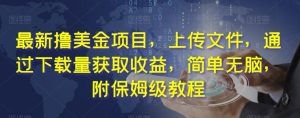 最新撸美金项目,上传文件,通过下载量获取收益,简单无脑,附保姆级教程【揭秘】-阳知网创资源库