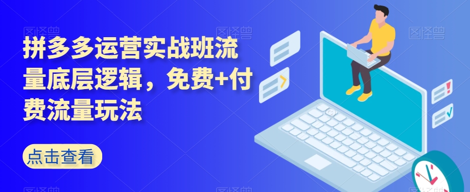 拼多多运营实战班流量底层逻辑,免费+付费流量玩法-阳知网创资源库