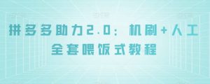 拼多多助力2.0:机刷+人工全套喂饭式教程【揭秘】-阳知网创资源库