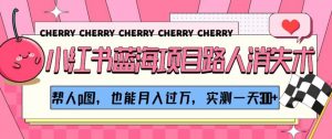 小红书蓝海项目路人消失术，帮人p图，也能月入过万，实测一天300+【揭秘】-阳知网创资源库