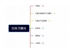 白羽·直引万搜索全篇，从0-1，多个类目实操经验总结付费-阳知网创资源库