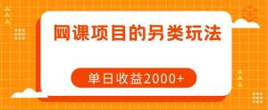 网课项目的另类玩法,单日收益2000+【揭秘】-阳知网创资源库