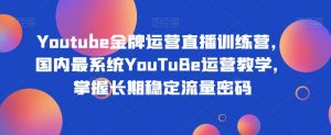 Youtube金牌运营直播训练营,国内最系统YouTuBe运营教学,掌握长期稳定流量密码-阳知网创资源库