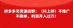 拼多多无货源店群:(抖上拼)不推广不刷单,利润月入过万!【揭秘】-阳知网创资源库