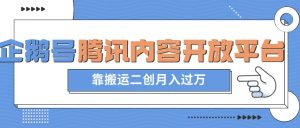 最新蓝海项目,企鹅号腾讯内容开放平台项目,靠搬运二创月入过万【揭秘】-阳知网创资源库