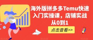 海外版拼多多Temu快速入门实操课,店铺实战从0到1-阳知网创资源库
