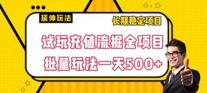 试玩充值流掘金项目,批量矩阵玩法一天500+【揭秘】-阳知网创资源库