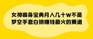 女神瘦身宝典月入几十W不是梦空手套白狼赚钱最火的赛道【揭秘】-阳知网创资源库