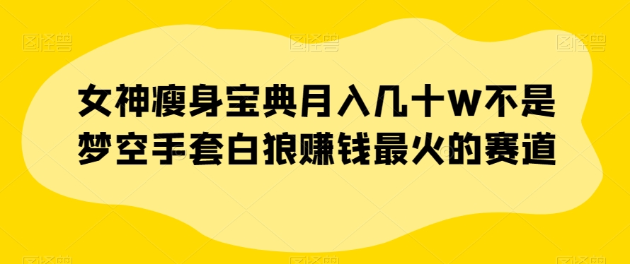 女神瘦身宝典月入几十W不是梦空手套白狼赚钱最火的赛道【揭秘】-阳知网创资源库