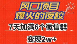 全网首发，爆火的夜校，7天加满6个微信群，变现2w+【揭秘】-阳知网创资源库