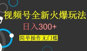 视频号最新爆火玩法,日入300+,简单操作无门槛【揭秘】-阳知网创资源库